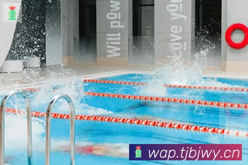 爱游戏网页版荣誉