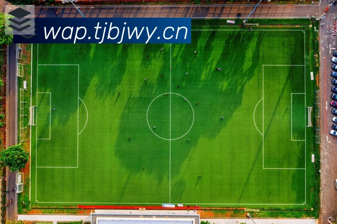 爱游戏网页版荣誉