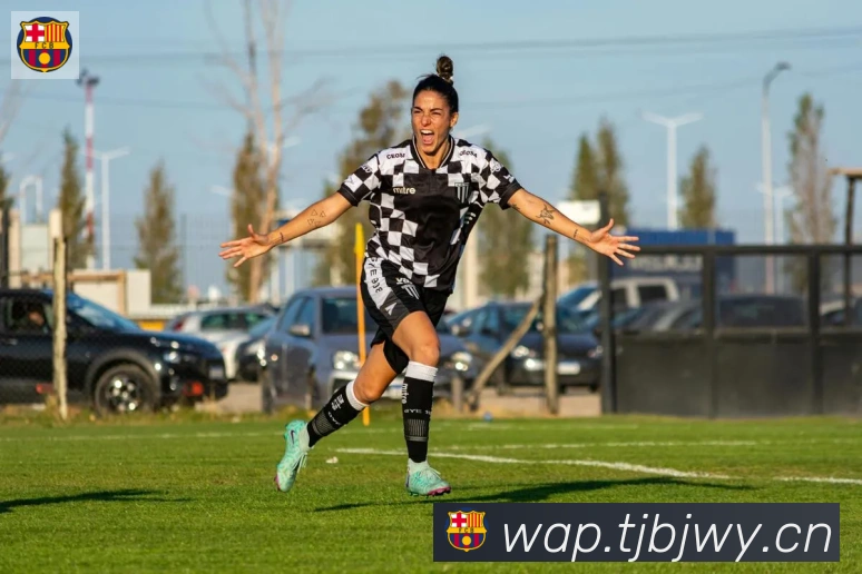 爱游戏网页版荣誉